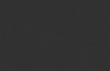 9004f - black fine textured