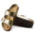 BIRKENSTOCK ARIZONA CLASSIC REGULAR FIT 1016110 - 2