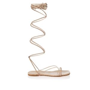 Product12153 - 12153