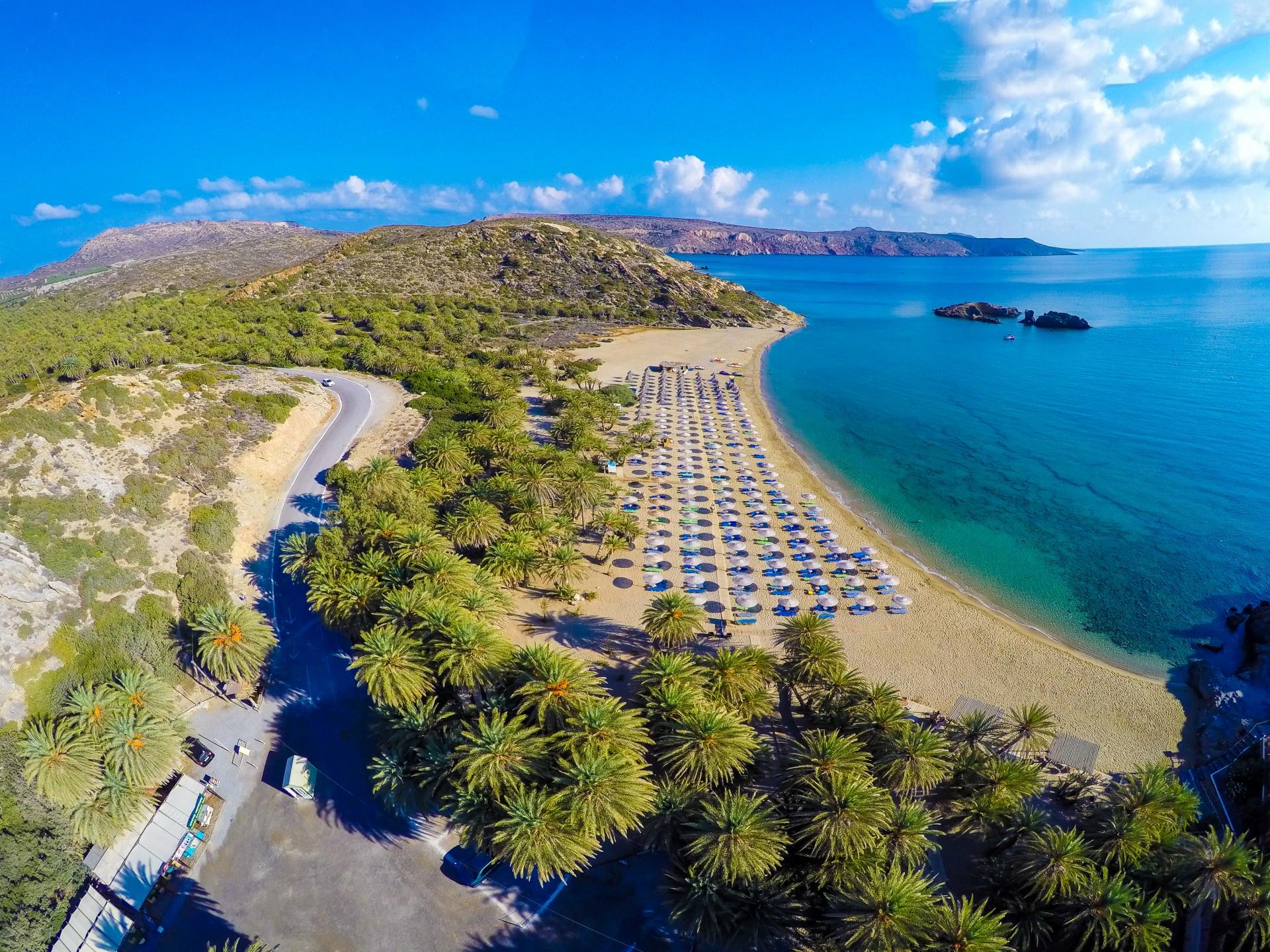 Φοινικόδασος Βάι