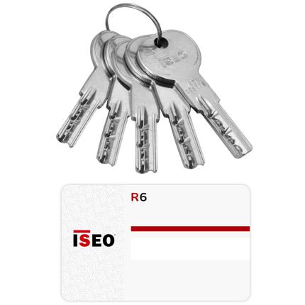 Cylinder Euro Profile 6 Stainless Steel pin & Reversible Flat Key ISEO R6 | Nickel-1