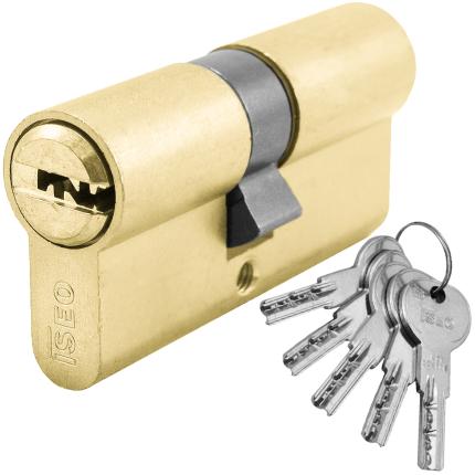 Cylinder Euro Profile 6 Stainless Steel pin & Flat Key ISEO R6 | Nickel & Brass-0