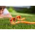 Zuru Robo Alive Ηλεκτρονική Ρομποτική King Cobra 45cm 11871137