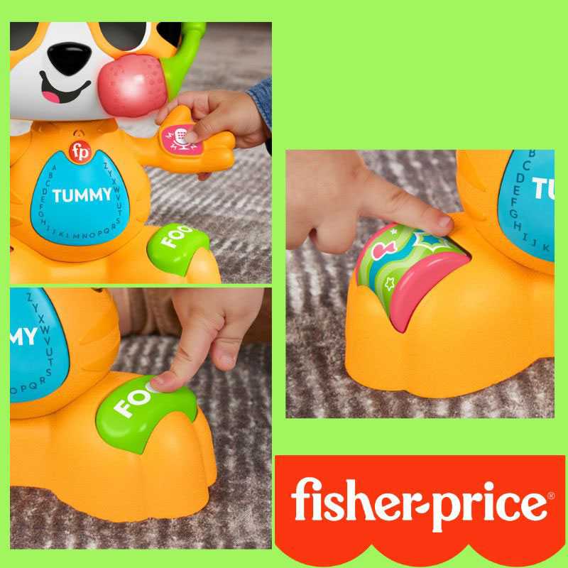 Fisher Price Link Squad Τίγρης ο Τραγουδιστούλης HYL08