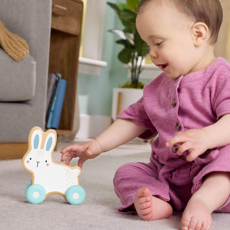 Fisher Price Wooden Sliding Bunny Ξύλινο Λαγουδάκι JDM52