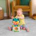 Fisher-Price® Light-Up & Roll Μουσικός Βάτραχος Δραστηριοτήτων με Ήχους και Φώτα JLB96