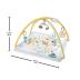 Fisher Price Βρεφικό Γυμναστήριο Simply Senses Newborn Gym JMN74