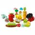 Lego Duplo Organic Garden 10984