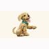 Lego Icons Golden Retriever Puppy 11384