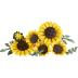 Lego Botanical Sunflower Bouquet 11502