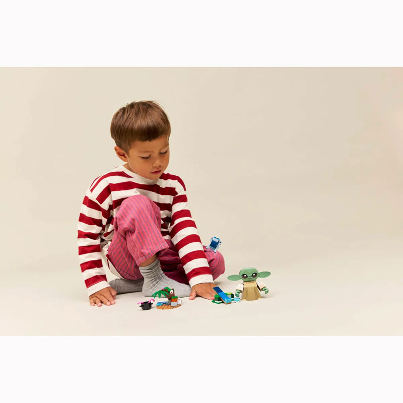 Lego Star Wars Grogu's Homestead 75443