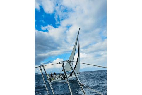 Be a Sailor for the Day