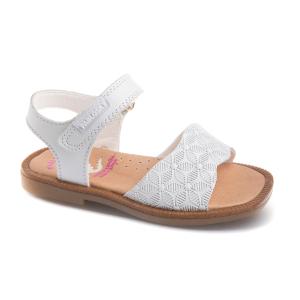 Product17212 - 17212