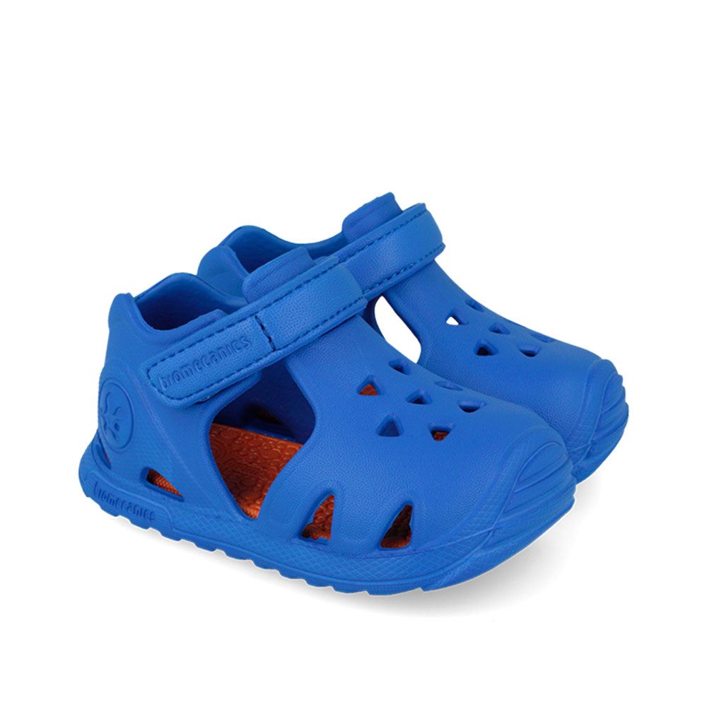 Παπουτσοπέδιλο θαλάσσης