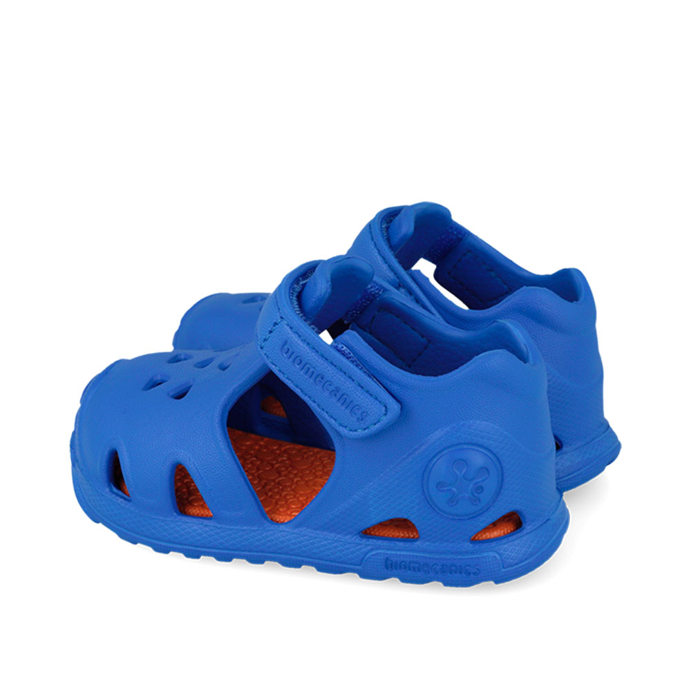 Παπουτσοπέδιλο θαλάσσης