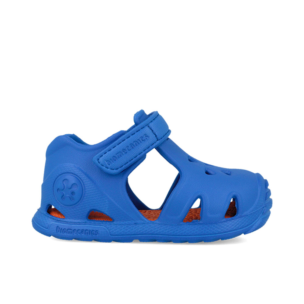 Παπουτσοπέδιλο θαλάσσης