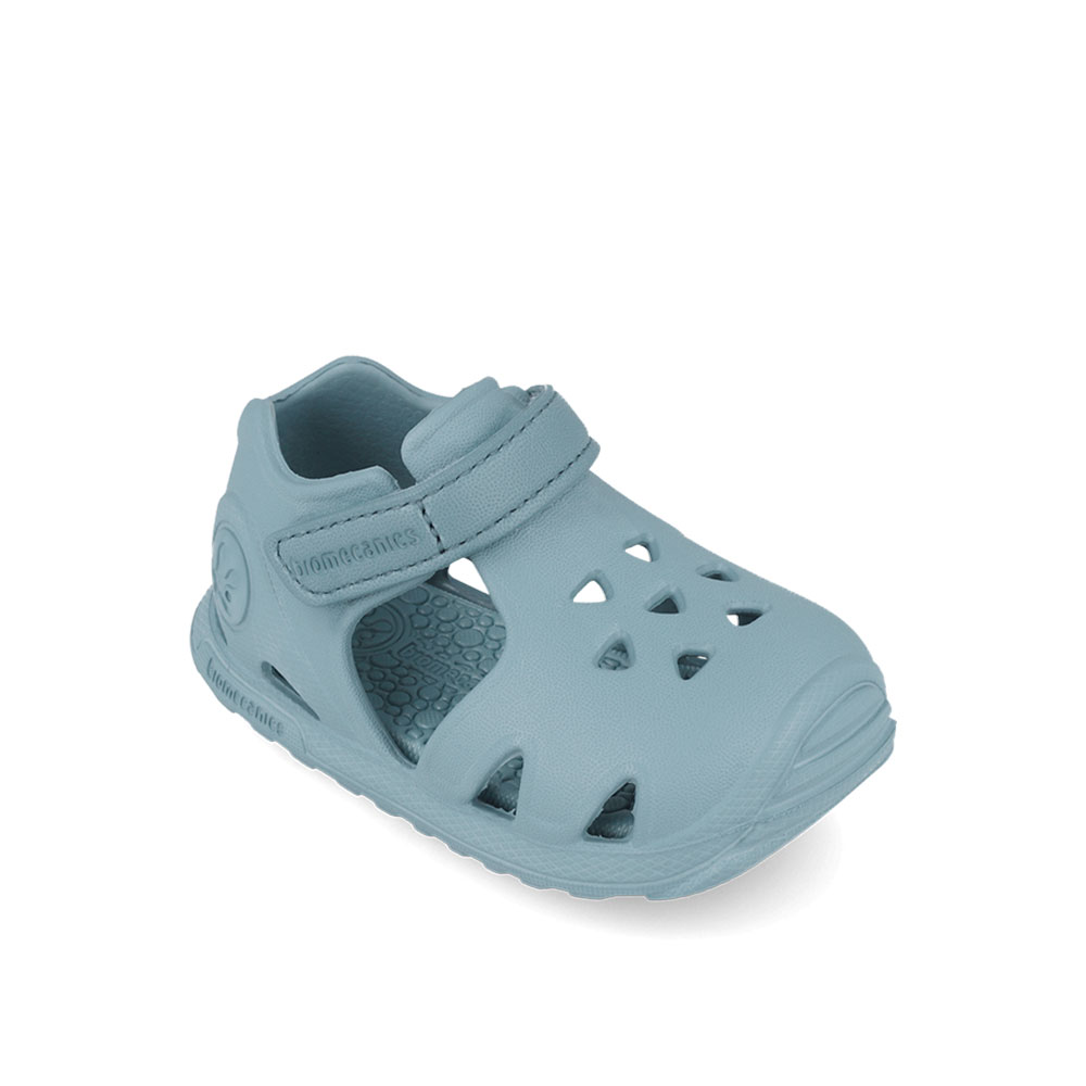 Παπουτσοπέδιλο θαλάσσης