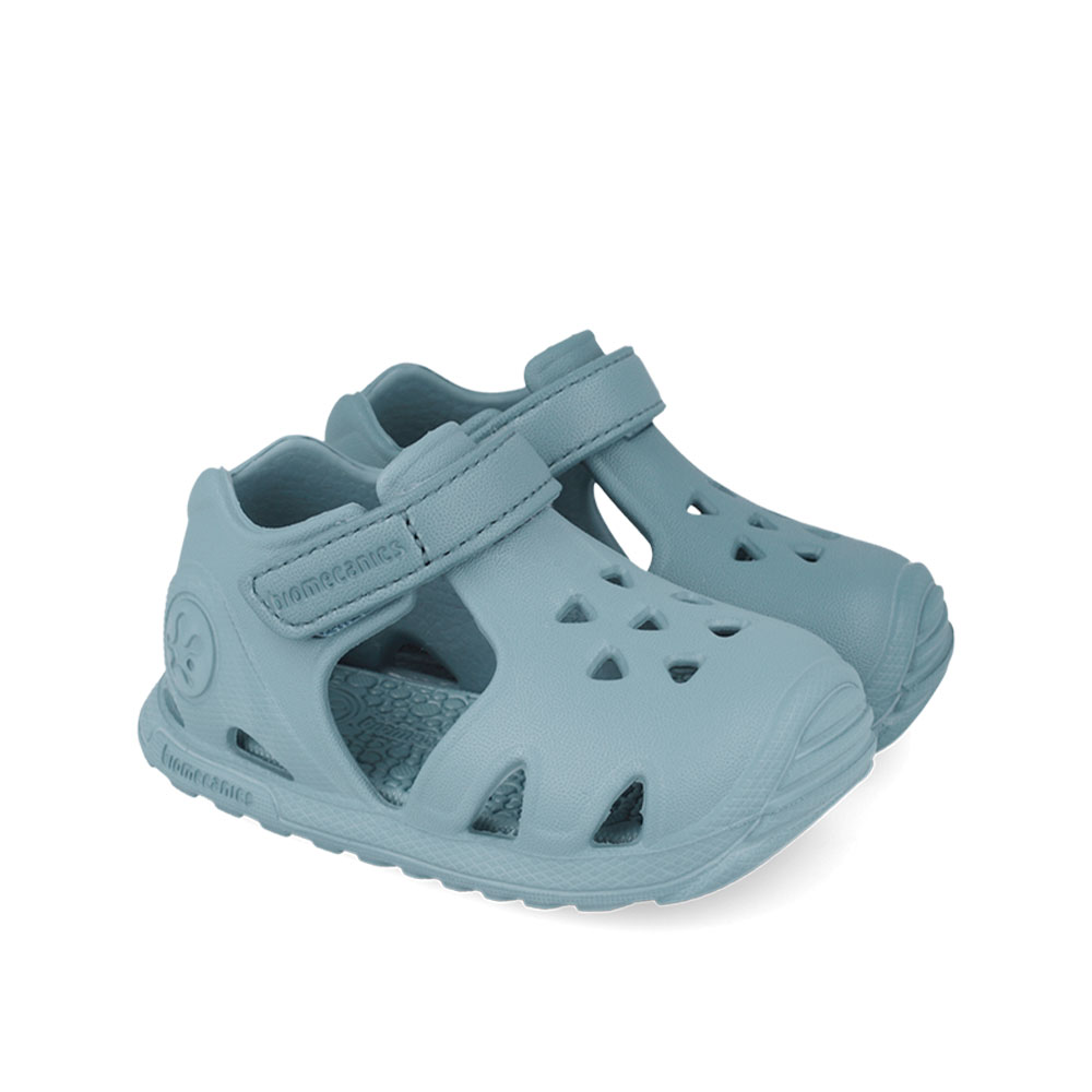 Παπουτσοπέδιλο θαλάσσης