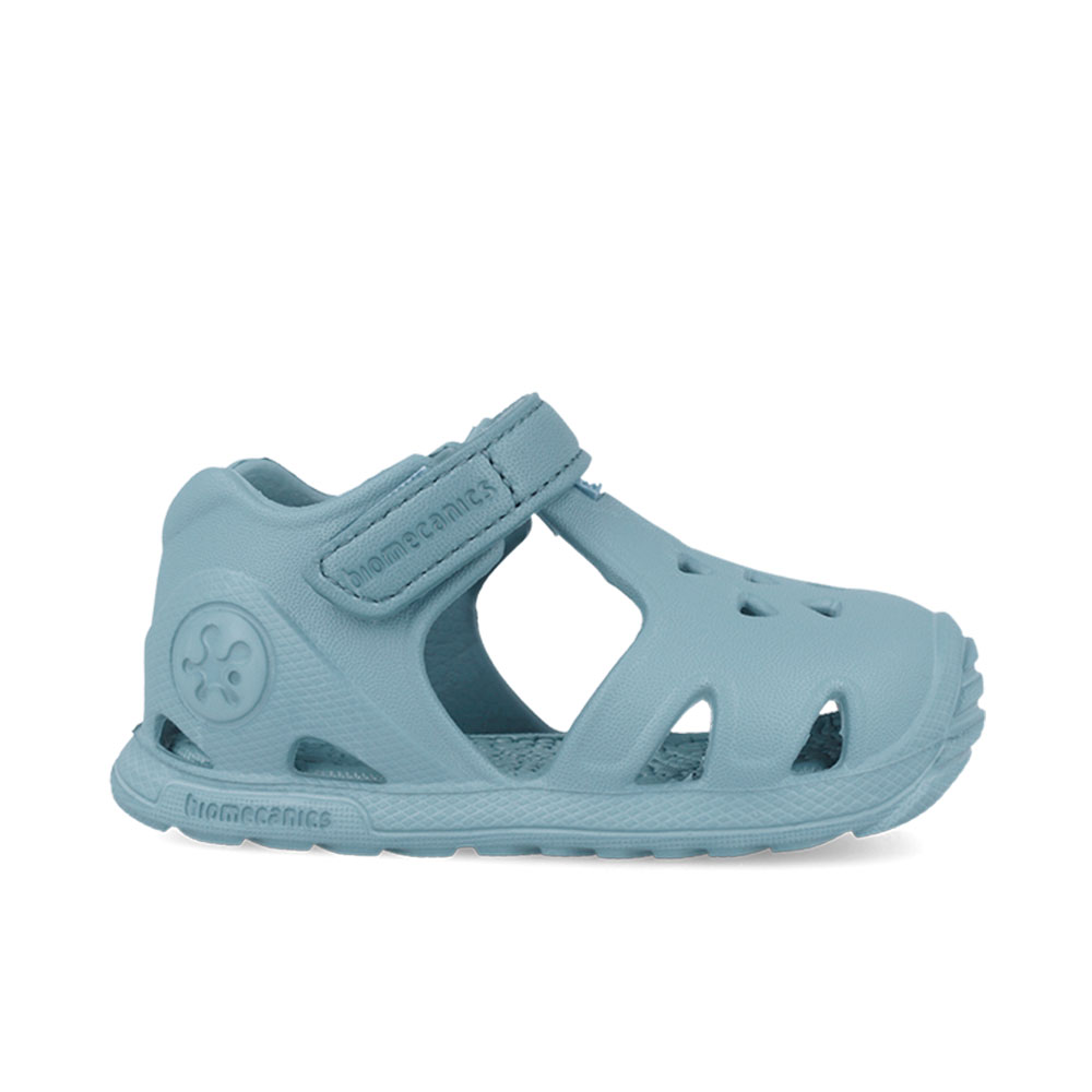 Παπουτσοπέδιλο θαλάσσης