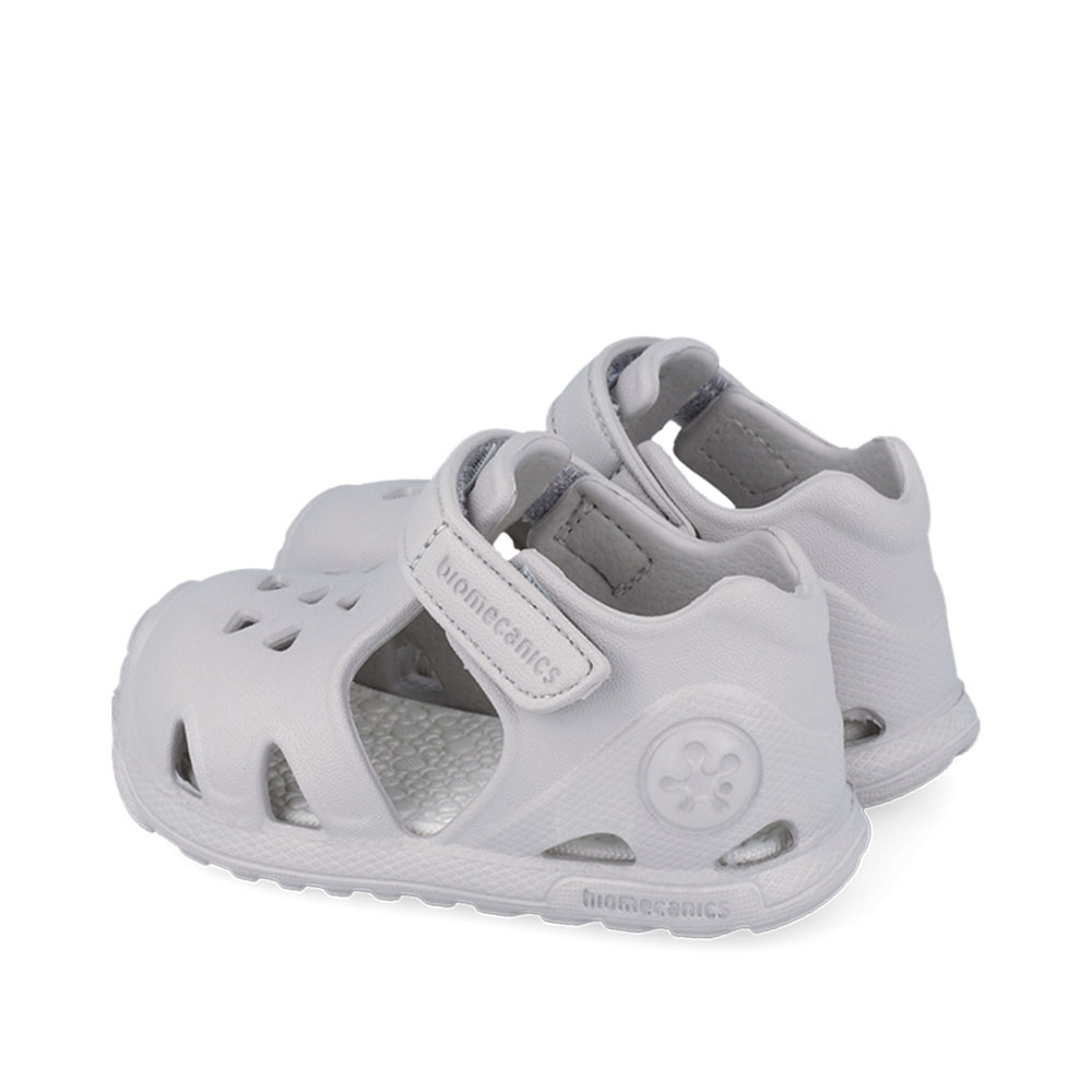 Παπουτσοπέδιλο θαλάσσης