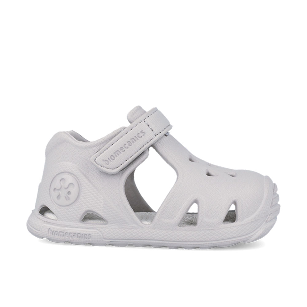 Παπουτσοπέδιλο θαλάσσης