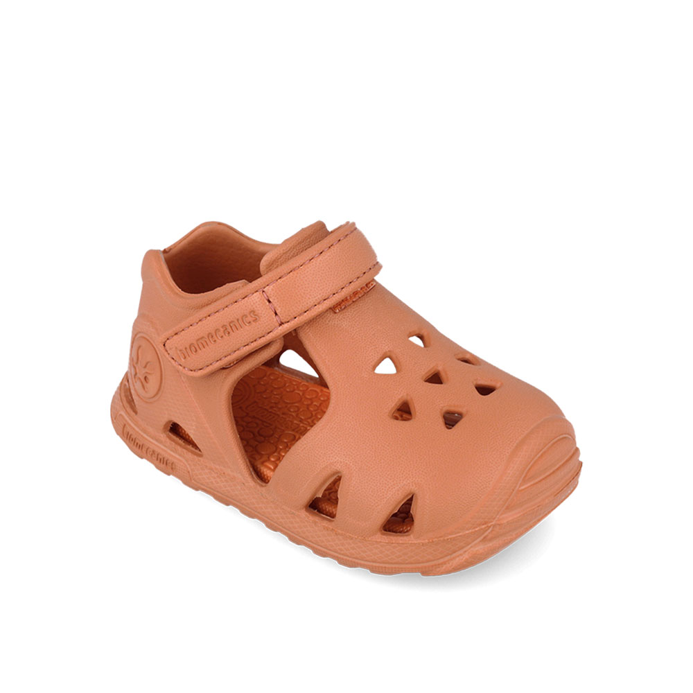 Παπουτσοπέδιλο θαλάσσης