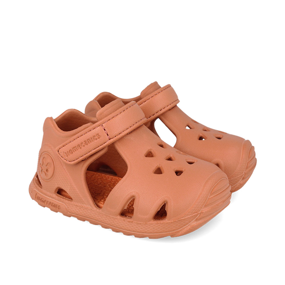 Παπουτσοπέδιλο θαλάσσης