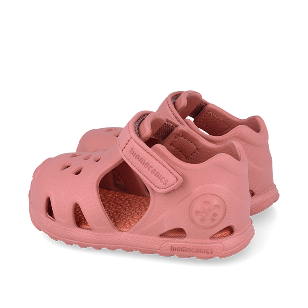 Παπουτσοπέδιλο θαλάσσης