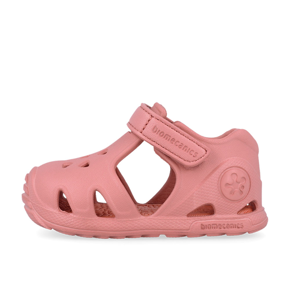 Παπουτσοπέδιλο θαλάσσης