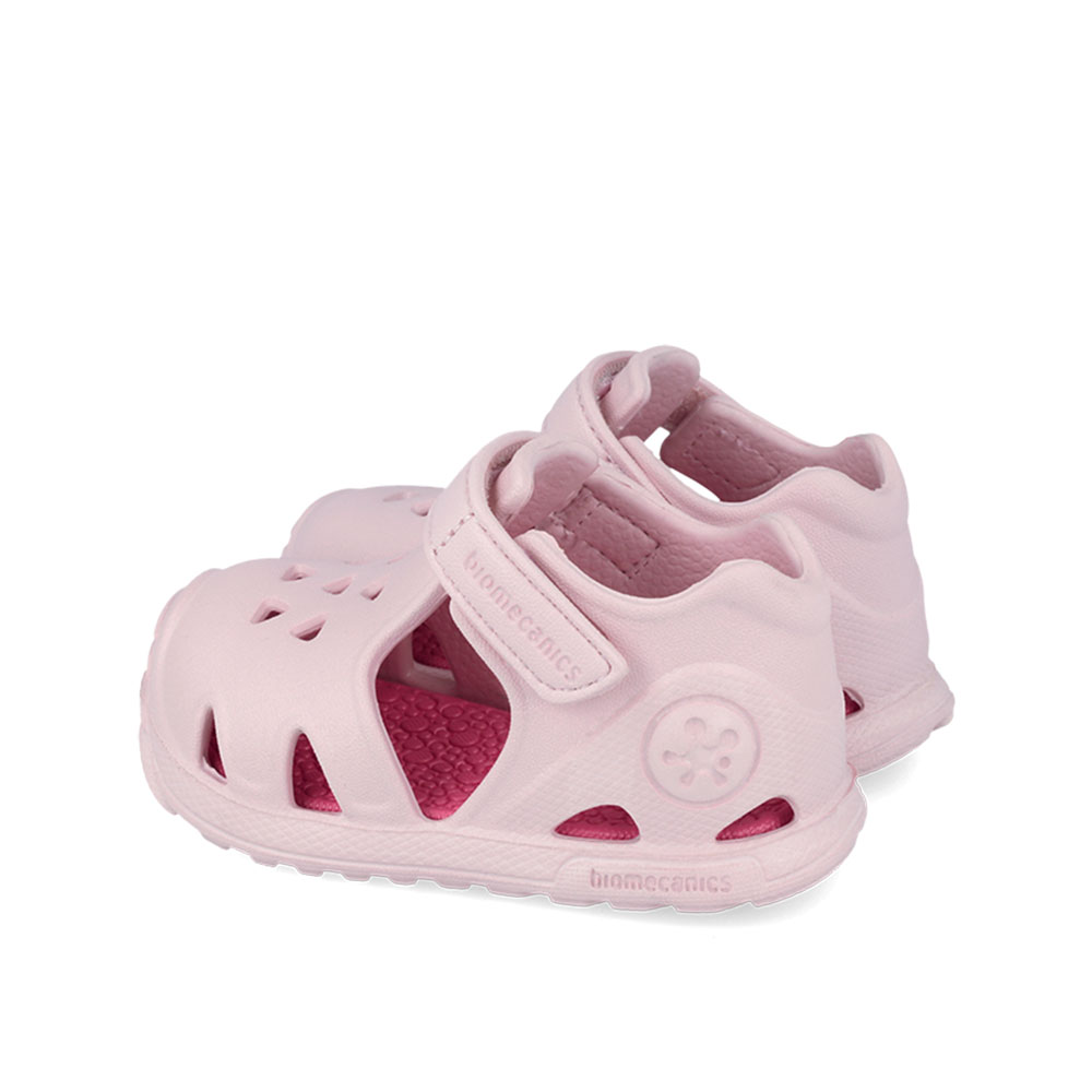 Παπουτσοπέδιλο θαλάσσης