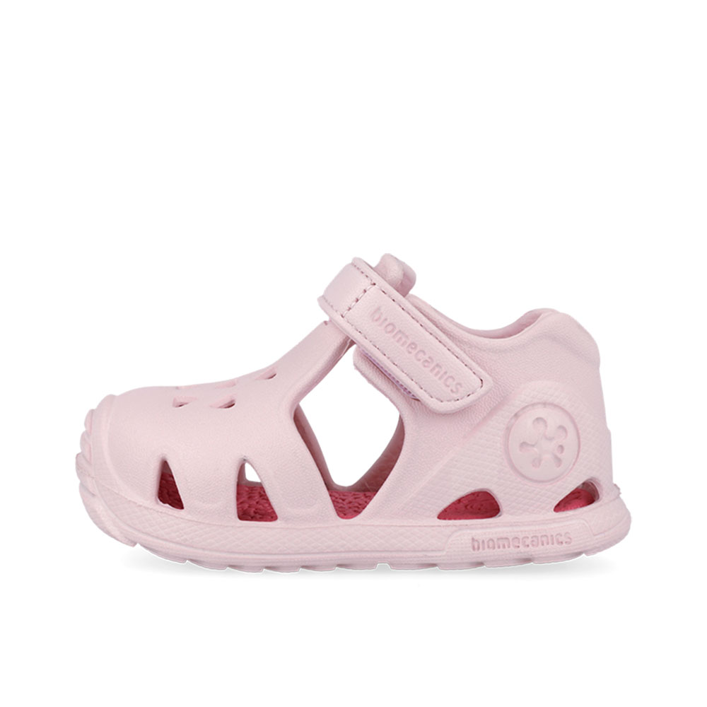 Παπουτσοπέδιλο θαλάσσης