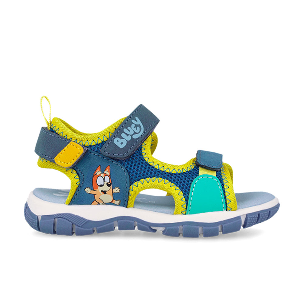 Πέδιλο "bluey"