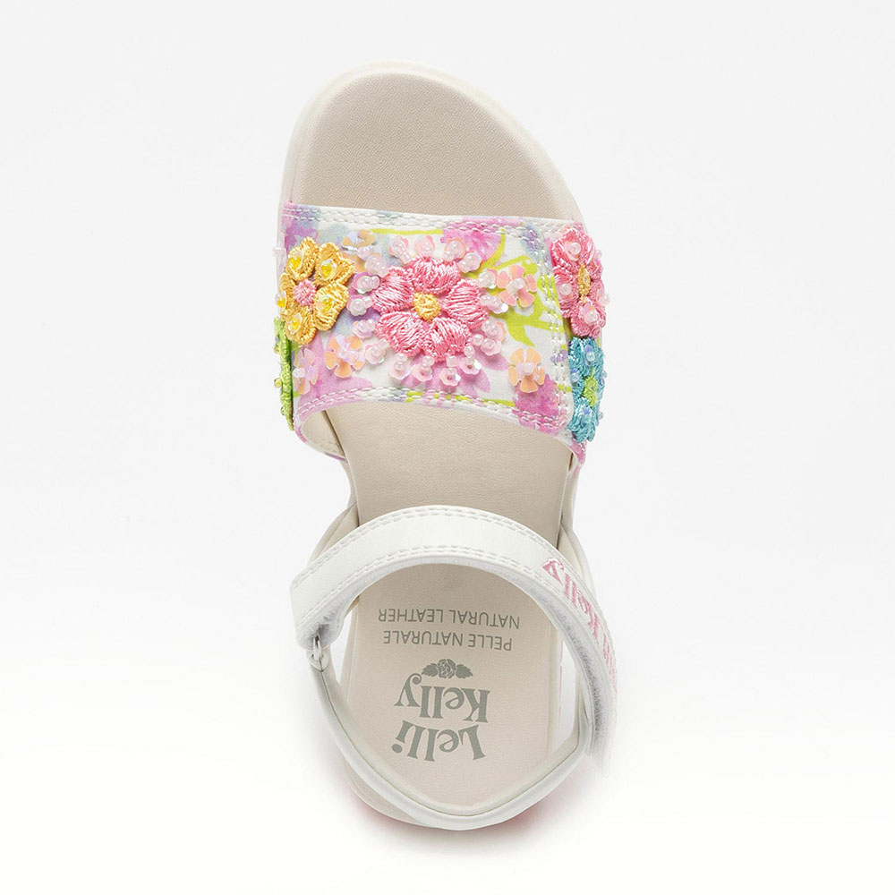 Product29164