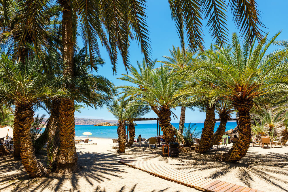 Vai Beach Kreta: Europa's grootste natuurlijke palmbos en hoe u het kunt bezoeken