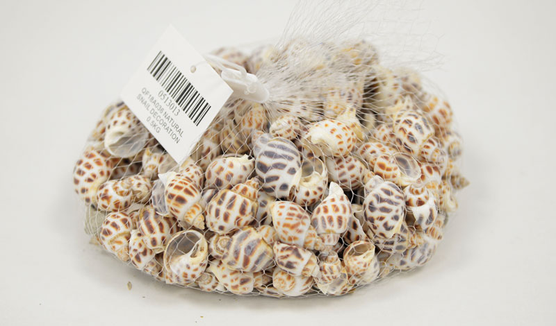 Decorative shells No13 0.5 kg. - 16883