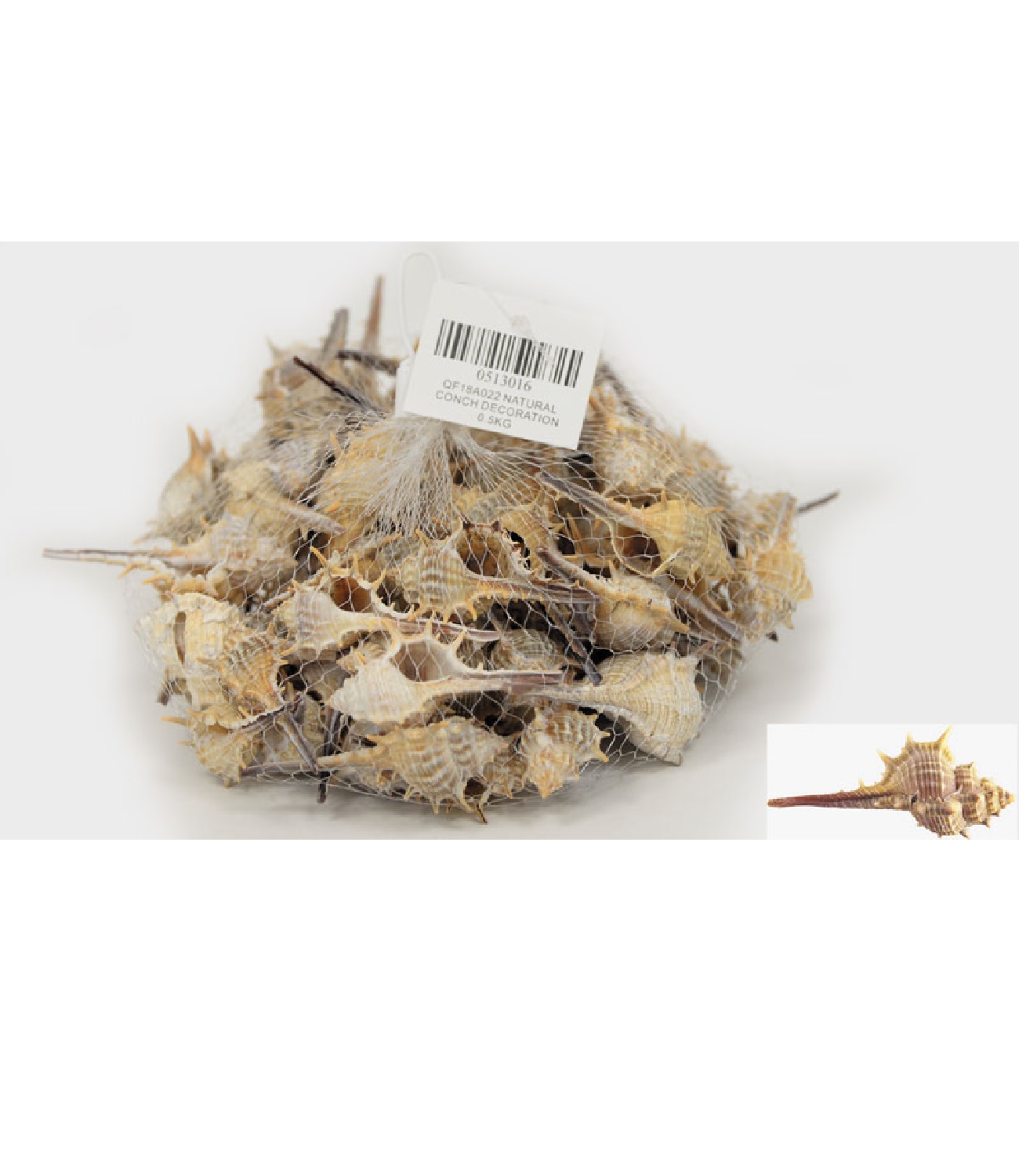Διακοσμητικά κοχύλια 0.5kg