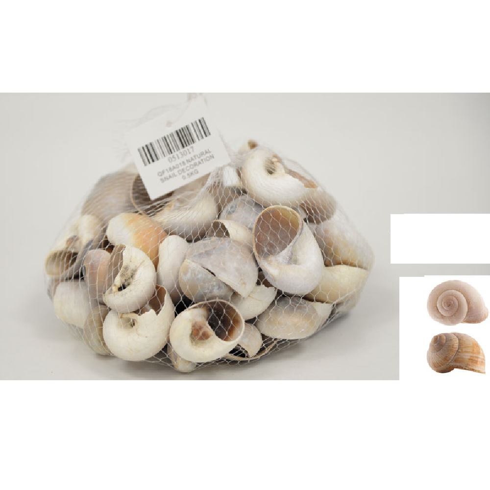 Decorative shells 0.5kg - 16863