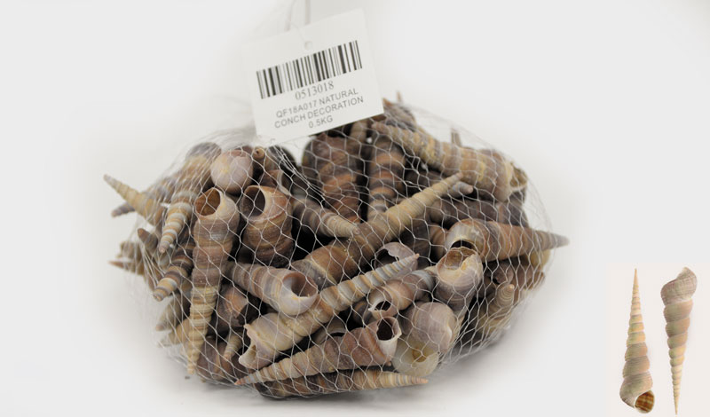 Decorative shells No18 0.5kg - 16881