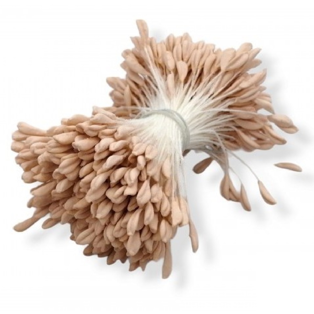 Stamen seeds 6cm 350pcs. - 18800