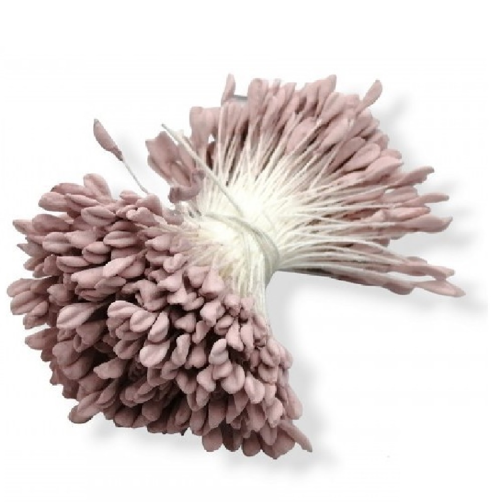 Σποράκια στήμονες 6cm 350τεμ. - 18797