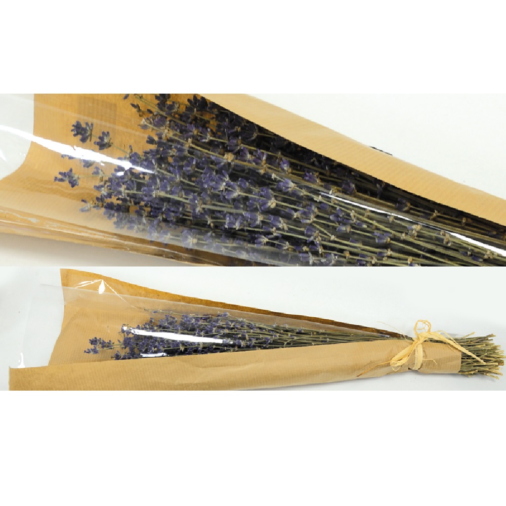  Λεβάντα αποξυραμένη 8cm X 40 cm  - 14323