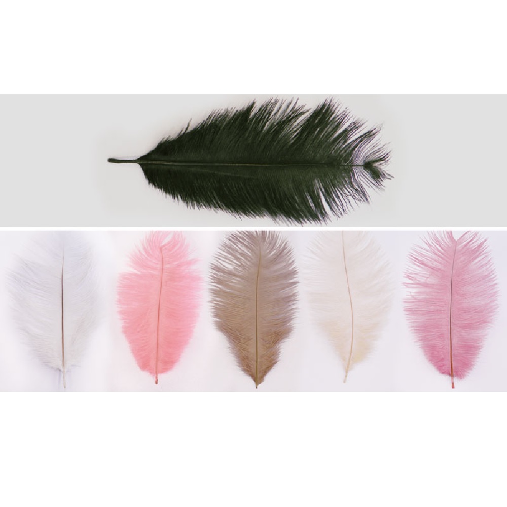 LARGE WINGS 18-24cm 10 pcs - 12336