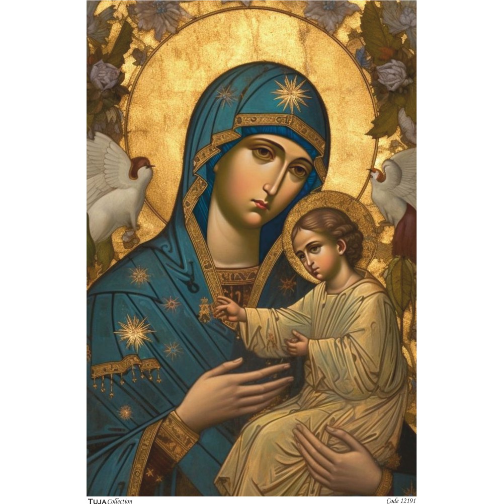 Ριζόχαρτο Tuja Collection A3 12191 - 17122