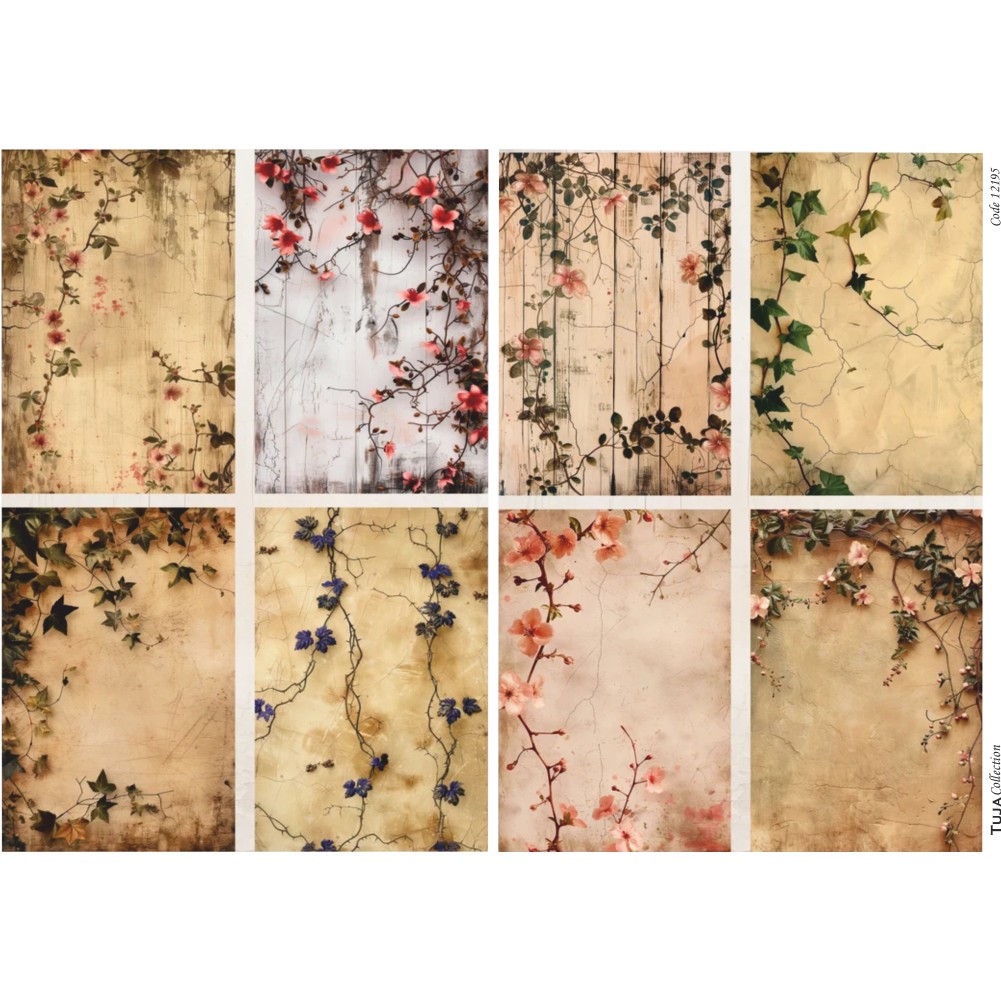 Ριζόχαρτο Tuja Collection A3 12195 - 17163