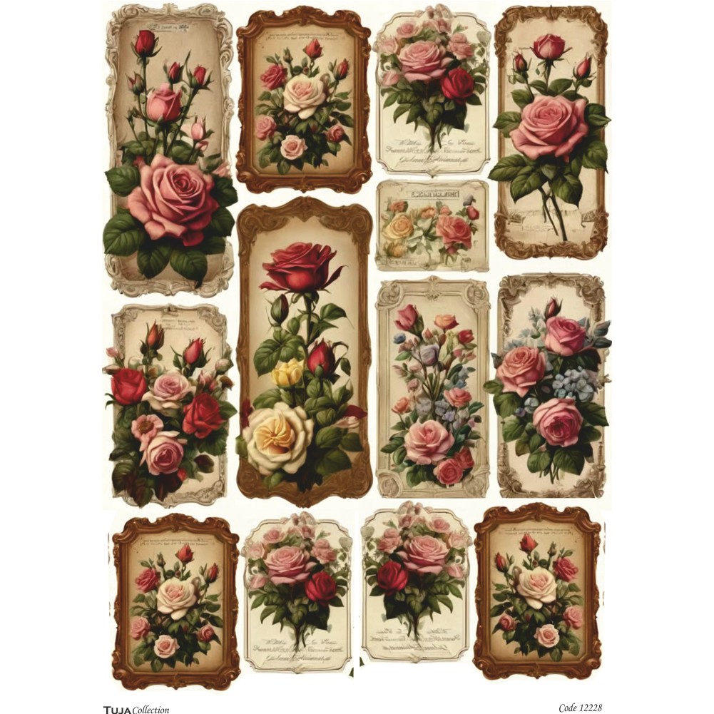 Ριζόχαρτο Tuja Collection A3 12228 - 18355