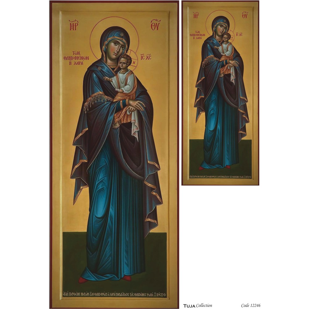 Ριζόχαρτο Tuja Collection A3 12246 - 18723