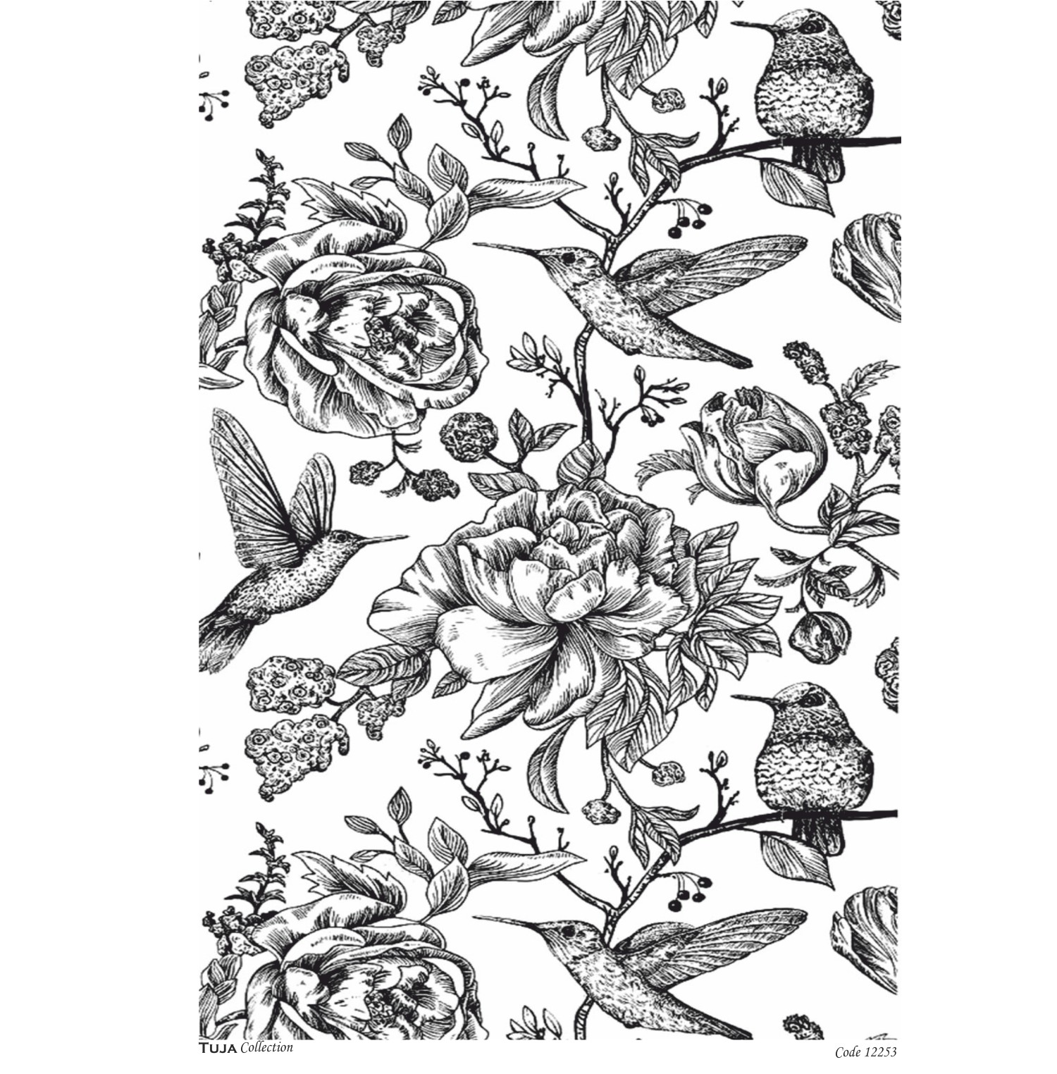 Ριζόχαρτο Tuja Collection A3 12253 - 19513