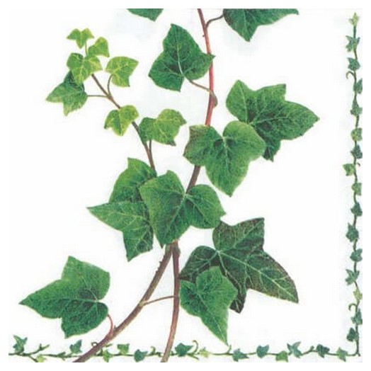 Χαρτοπετσέτες για Decoupage Ivy Tendril