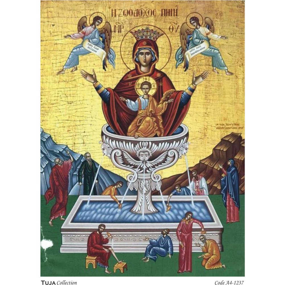 Ριζόχαρτο Tuja Collection A4 1237 - 17149
