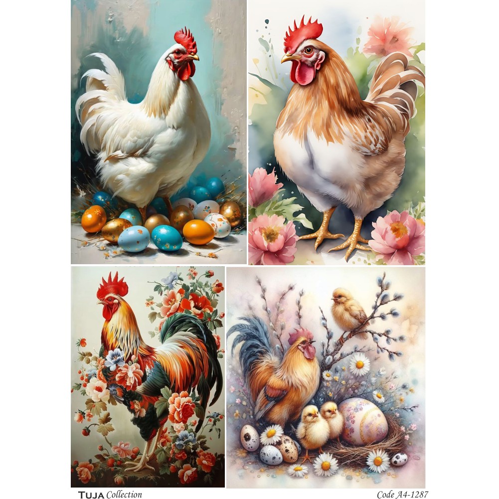 Ριζόχαρτο Tuja Collection A4 1287